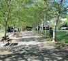 Millsite Park shaded walk