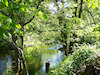 Myrtle Creek